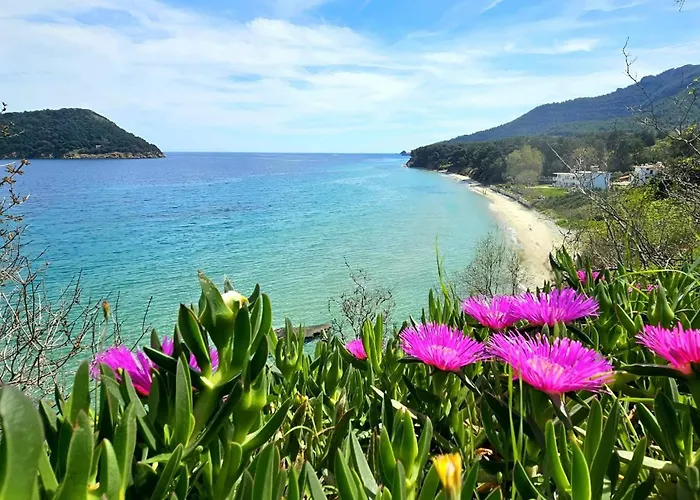 Miro & Lana Vacation