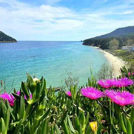 Miro & Lana Vacation