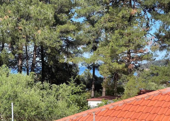 Σπίτι διακοπών Miro & Lana Vacation *